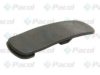 PACOL DAF-MS-002 Holder, mudguard